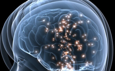 Yoga y Arte para Armonizar de nuestros Hemisferios Cerebrales