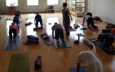 Y tú… ¿Porqué Prácticas Yoga?