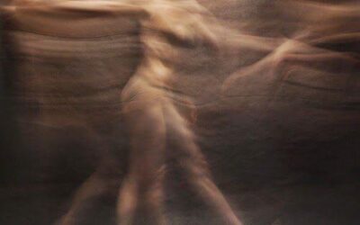 Espacio, Sinuosidad y Movimiento