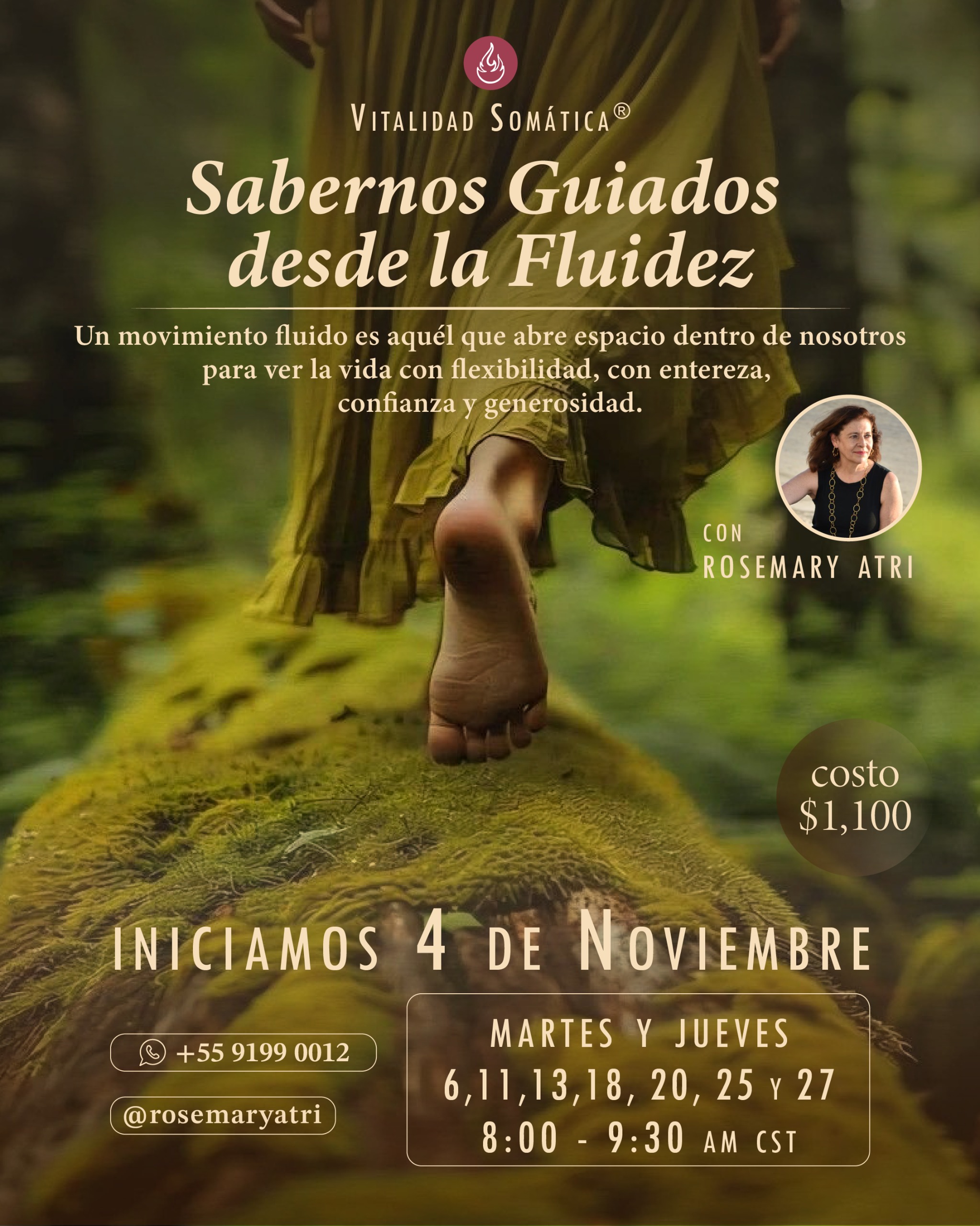 clases-nov